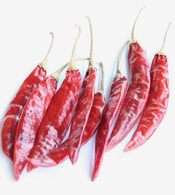 Sannam Red Chilli